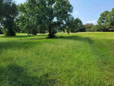 Welcome to this exceptional 2.8-acre property in Chandler, Texas - photo 4