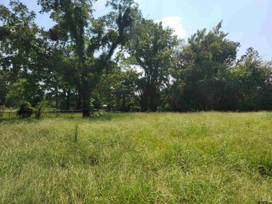 Welcome to this exceptional 2.8-acre property in Chandler, Texas - photo 5