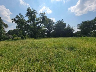 Welcome to this exceptional 2.8-acre property in Chandler, Texas - photo 6