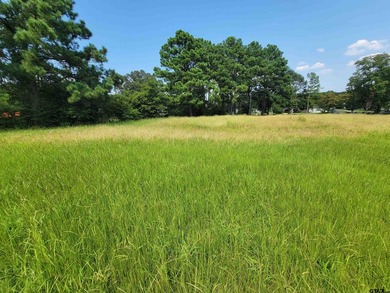 Welcome to this exceptional 2.8-acre property in Chandler, Texas - photo 7