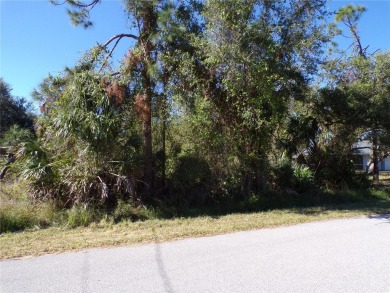 Northport Waterway Lakes and Canals Lot For Sale in North Port Florida