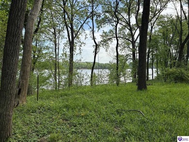 Looking for a spot to build your dream home or recreational - photo 6