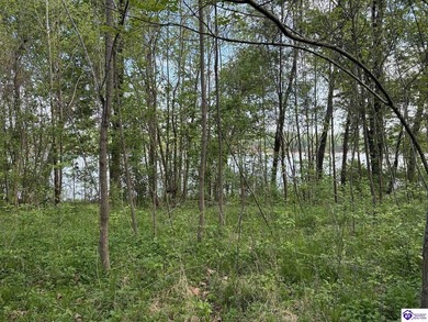 Looking for a spot to build your dream home or recreational - photo 9