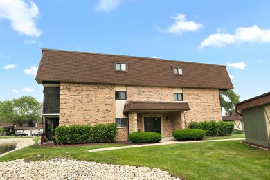Lake Home Sale Pending in Palos Hills, Illinois