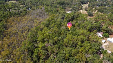 THIS CAN BE PURCHASED AS A 2 LOT NON CONTIGUOUS LOT PACKAGE! - photo 11