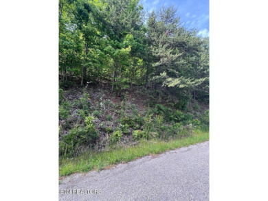 Lake Lot For Sale in New Tazewell, Tennessee