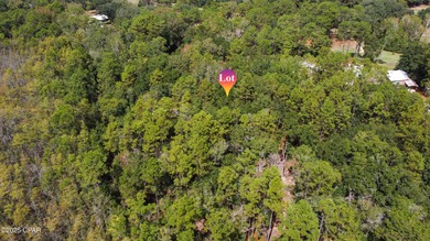 THIS CAN BE PURCHASED AS A 2 LOT NON CONTIGUOUS LOT PACKAGE! - photo 12