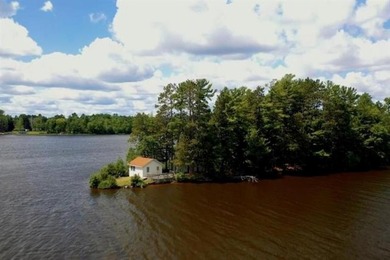 Now is your chance to own an ISLAND! This unique property was - photo 2