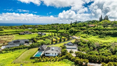 Located in Baldwin Ranch Estates, this property is a refined - photo 42