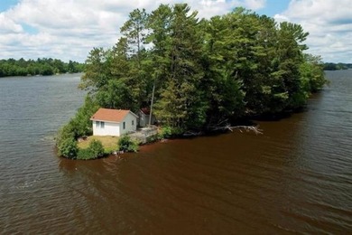 Now is your chance to own an ISLAND! This unique property was - photo 3