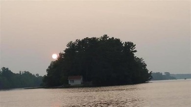 Now is your chance to own an ISLAND! This unique property was - photo 9