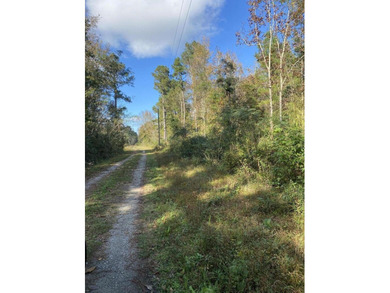 Lake Marion Lot Active Under Contract in Cross South Carolina