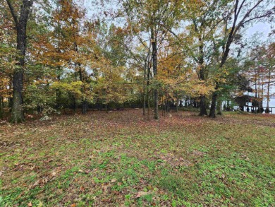 Lake Lot For Sale in Taylor, Arkansas