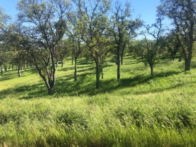 Lake Tulloch Lot For Sale in Copperopolis California