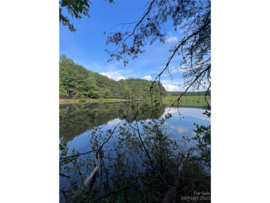 Hidden Lake Acreage For Sale in Nebo North Carolina