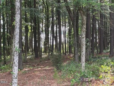 HUGE PRICE REDUCTION !! Kerr Lake waterfront--gorgeous sunset - photo 11