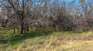 Lake Lot For Sale in Granbury, Texas