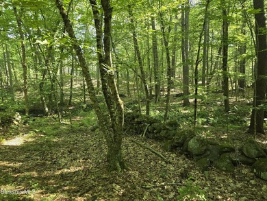 Location, Privacy, and Stonewalls all in one! Discover a rare - photo 22