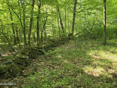 Location, Privacy, and Stonewalls all in one! Discover a rare - photo 23