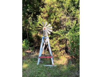 Lake Acreage For Sale in Nacogdoches, Texas