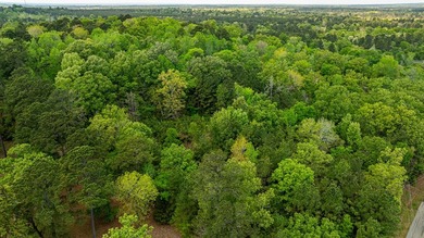 Beautiful 5 wooded acres on the west side of Lake Nacogdoches! - photo 5