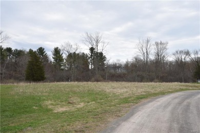 If you are looking for a building lot, this is worth seeing, you - Lake Acreage For Sale in Chaumont, New York