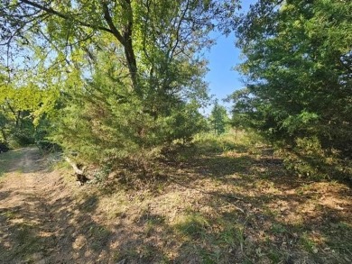 Lake Acreage For Sale in Palestine, Texas