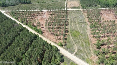 Tucked away in a quiet, secluded setting, this 7.819 acre - photo 2