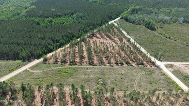 Tucked away in a quiet, secluded setting, this 7.819 acre - photo 3