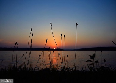 Nestled in the peaceful Halwick Estates community, this - photo 44