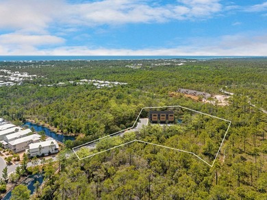 Positioned within NatureWalk at Seagrove, Turkey Oak Drive - photo 4