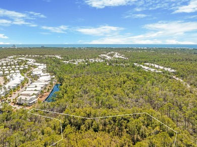 Positioned within NatureWalk at Seagrove, Turkey Oak Drive - photo 5