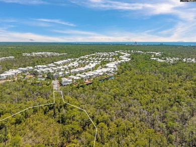 Positioned within NatureWalk at Seagrove, Turkey Oak Drive - photo 6