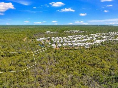 Positioned within NatureWalk at Seagrove, Turkey Oak Drive - photo 7