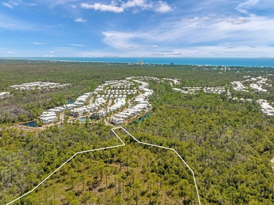 Positioned within NatureWalk at Seagrove, Turkey Oak Drive - photo 8