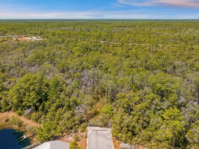 Positioned within NatureWalk at Seagrove, Turkey Oak Drive - photo 9