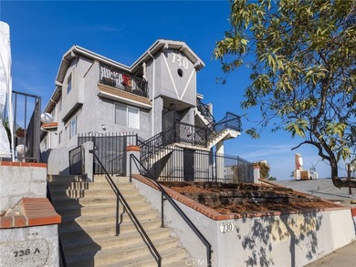 Step into the pinnacle of investment opportunities at 730 W 5th - photo 1