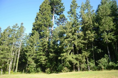 Beautiful lot w/secluded privacy and Del Norte Golf Course - photo 11