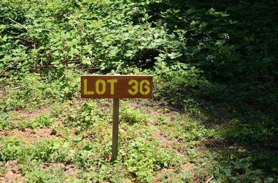 Beautiful lot w/secluded privacy and Del Norte Golf Course - photo 13
