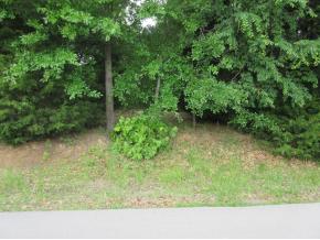 Longtown Estates Lot Available! - Lake Lot For Sale in Eufaula, Oklahoma