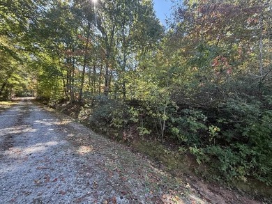 Welcome to the Lake Lanier community, ideally situated between - photo 42