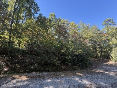 Welcome to the Lake Lanier community, ideally situated between - photo 43
