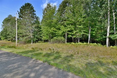 Unique, pristine Northwoods opportunity on the highly - photo 1