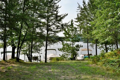 Unique, pristine Northwoods opportunity on the highly - photo 6
