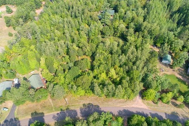 Unique, pristine Northwoods opportunity on the highly - photo 7