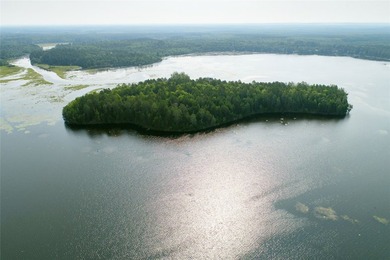 Unique, pristine Northwoods opportunity on the highly - photo 8