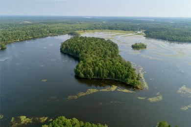 Unique, pristine Northwoods opportunity on the highly - photo 9