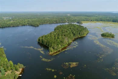 Unique, pristine Northwoods opportunity on the highly - photo 10