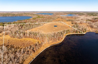 (private lake, pond, creek) Home For Sale in Backus Minnesota