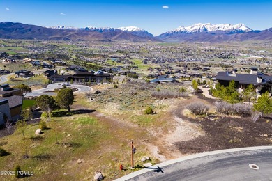 Positioned near the top of Red Ledges, 1647 A1 Peak Circle (Lot - photo 5